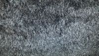 Steam Carpet Cleaning - 98802 options Steam Carpet Cleaning - 99277 options