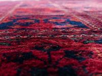 Steam Carpet Cleaning - 51556 offers Steam Carpet Cleaning - 6223 offers