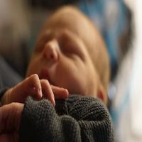 стволови клетки от пъпна връв - 15979 варианти стволови клетки от пъпна връв - 7425 варианти