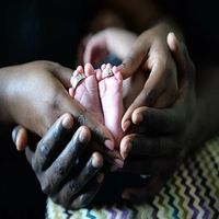 стволови клетки от пъпна връв - 40048 предложения | stvolovikletki.com стволови клетки от пъпна връв - 4676 предложения