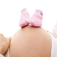 стволови клетки от пъпна връв - 73433 типа стволови клетки от пъпна връв - 95969 типа