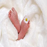 стволови клетки от пъпна връв - 44184 варианти стволови клетки от пъпна връв - 76117 варианти