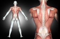 ишиас - 98004 клиенти ишиас - 16357 клиенти