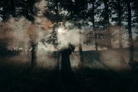 ваучер за фотосесия - 2631 типа ваучер за фотосесия - 4560 типа