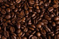 Nespresso капсули - 9551 вида Nespresso капсули - 49115 вида