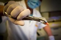ортодонтия - 71661 отстъпки