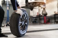 Anvelope Michelin - 81700 selecţie Anvelope Michelin - 50479 selecţie