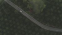 Бустери - 56249 селекции Бустери - 3671 селекции
