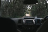 Бустери - 20935 предложения Бустери - 68443 предложения