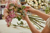 интериорно озеленяване - 15892 отстъпки