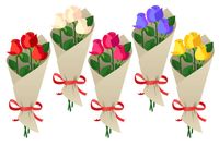 интериорно озеленяване - 63977 варианти