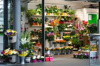 интериорно озеленяване - 99520 новини