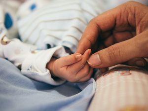 памучни ританки за бебе момче - 32627 новини памучни ританки за бебе момче - 84086 новини