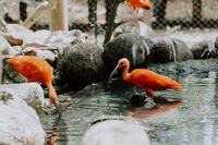 екскурзия Колумбия - 25873 комбинации екскурзия Колумбия - 4192 комбинации