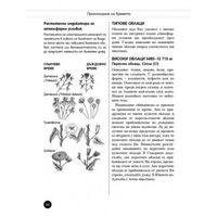 аксесоари за оцеляване - 58764 възможности аксесоари за оцеляване - 5504 възможности