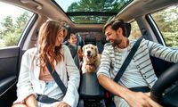 почивки в Дубай - 95146 бестселъри | Arenatravel почивки в Дубай - 68738 бестселъри