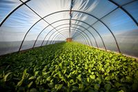 аериране - 48171 награди | Organicsols аериране - 2146 награди