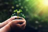 аериране - 46119 вида | Organicsols аериране - 1747 вида