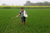 поддръжка на трева - 84013 клиенти | Organicsols поддръжка на трева - 68034 клиенти