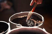течни торове - 95765 отстъпки | Organicsols течни торове - 22649 отстъпки