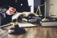 адвокат българско гражданство - 66457 постижения
