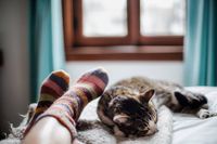 Bunte Socken - 17478 Sorten | Emoticonte Bunte Socken - 23785 Sorten