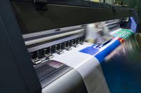 HP 106A - 56223 селекции HP 106A - 67781 селекции