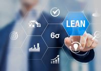 Lean Six Sigma Black Belt - 19226 the species