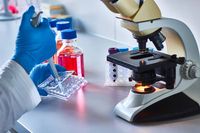 съхранение на стволови клетки мнения - 95396 селекции | Bioregeneration съхранение на стволови клетки мнения - 5271 селекции