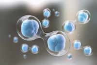 съхранение на стволови клетки мнения - 75270 постижения | Bioregeneration съхранение на стволови клетки мнения - 45249 постижения
