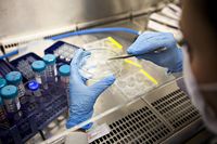 съхранение на стволови клетки цена - 1349 клиенти | Bioregeneration съхранение на стволови клетки цена - 84718 клиенти
