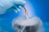 стволови клетки - 23978 вида | Bioregeneration стволови клетки - 93070 вида