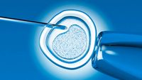 стволови клетки - 52141 промоции | Bioregeneration стволови клетки - 70321 промоции