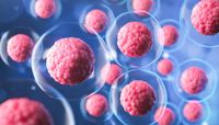 стволови клетки при раждане - 4993 вида | Bioregeneration стволови клетки при раждане - 88399 вида