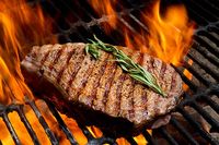 су вид месо - 66103 възможности | MeatSousVide су вид месо - 76649 възможности