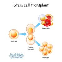 за и против съхранението на стволови клетки - 61986 бестселъри | Bioregeneration за и против съхранението на стволови клетки - 7461 бестселъри