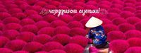 екскурзия Индия - 46547 вида | Nikona екскурзия Индия - 88151 вида