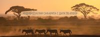 екскурзия Шри Ланка - 44597 постижения