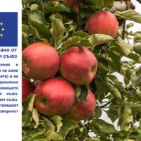 иновации в земеделието - 42135 отстъпки | AgroTV иновации в земеделието - 3616 отстъпки