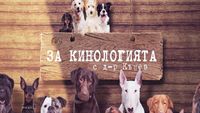 свиневъдство - 20810 снимки | AgroTV свиневъдство - 22239 снимки