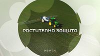 всичко за пчелите - 32299 предложения | AgroTV всичко за пчелите - 48891 предложения