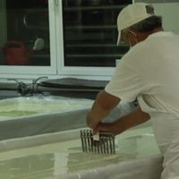 зеленчукопроизводство - 32189 оферти | AgroTV зеленчукопроизводство - 68792 оферти