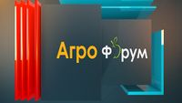 зеленчукопроизводство - 76412 бестселъри зеленчукопроизводство - 70103 бестселъри