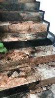 хидроизолационно полимерно покритие - 27238 възможности хидроизолационно полимерно покритие - 76253 възможности
