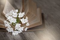 разделител за книга щипка - 16661 възможности