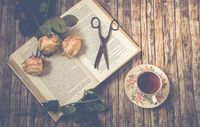 разделител за книга щипка - 90334 бестселъри