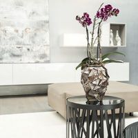 кашпи - 93885 предложения | navun.bg кашпи - 42503 предложения