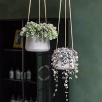 керамични саксии - 43004 новини керамични саксии - 52218 новини
