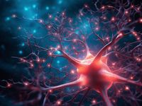 увреждане на периферните нерви - 75194 клиенти | Milgamma увреждане на периферните нерви - 64683 клиенти