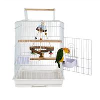 папагал жако - 21024 бестселъри | Parrots Paradise папагал жако - 6928 бестселъри